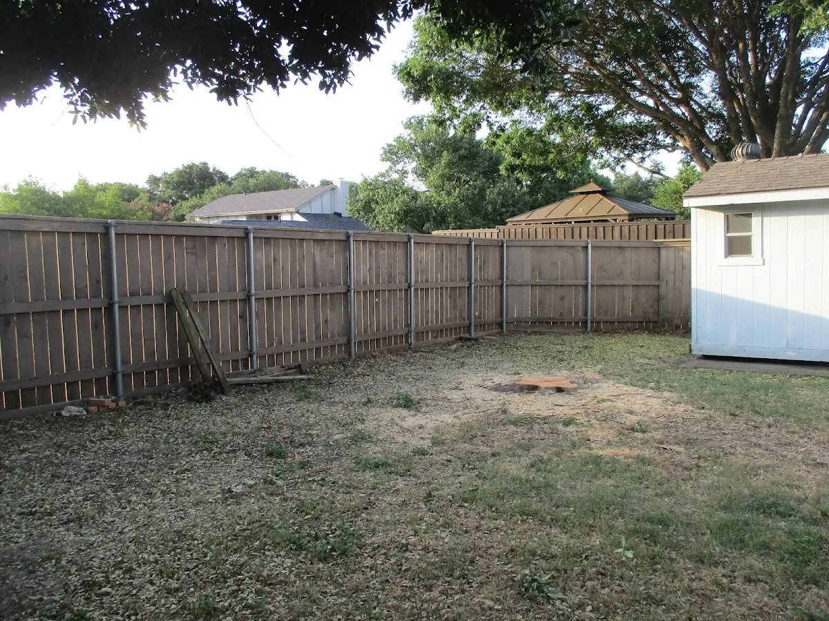 Cleared yard after professional tree removal in Big Springs